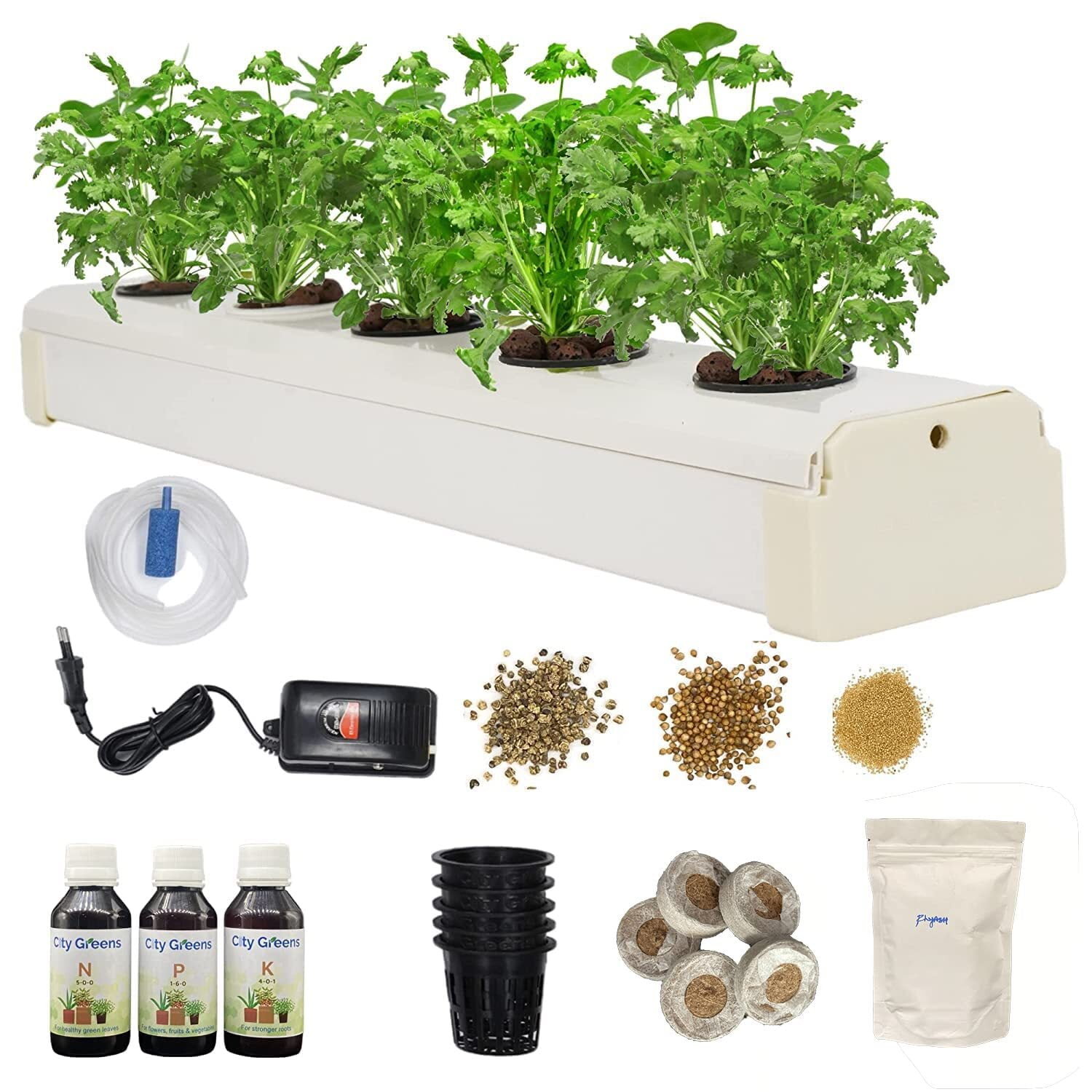 All you need to know about City Greens DWC hydroponics kit.